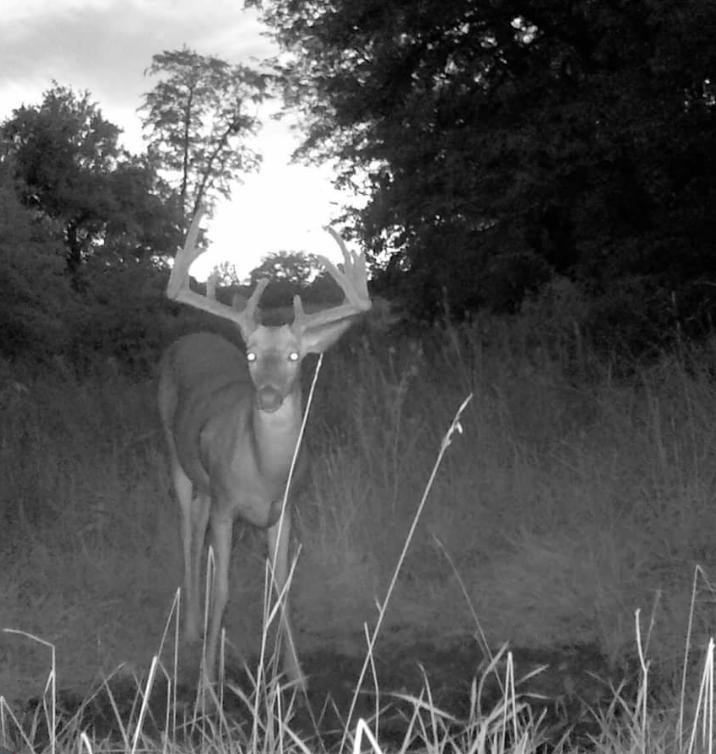 World Class Deer and Turkey Outfitters in MIssouri